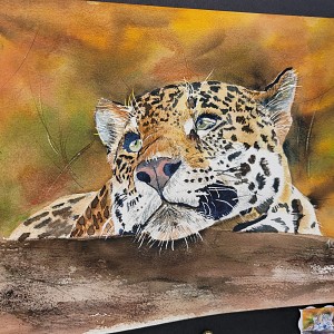 Anne K Lyon: Endangered Animals Around the World